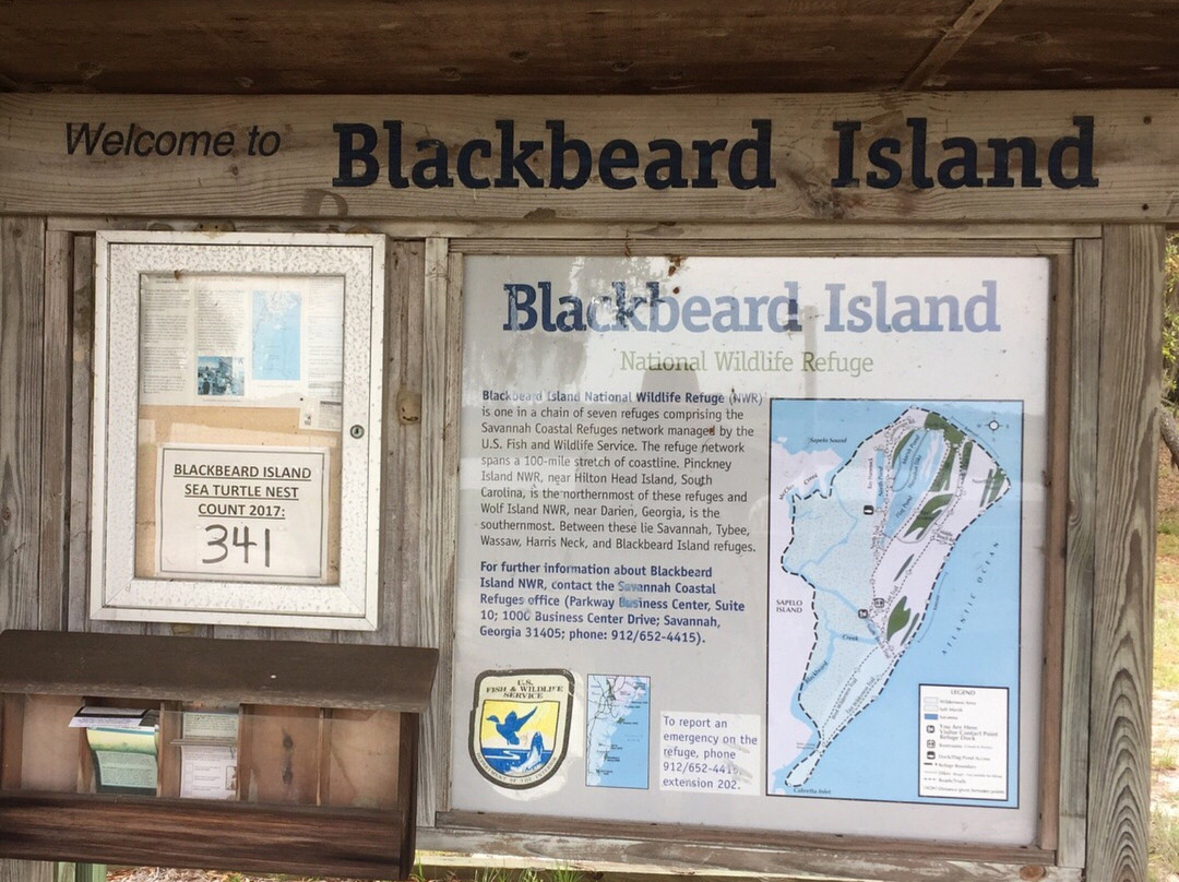 Blackbeard Island National Wildlife Refuge-萨凡纳必去景点