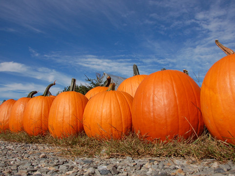 Hudak Farm-Swanton必去景点