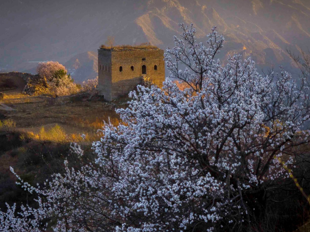 慕田峪长城纯玩游-北京市必去景点