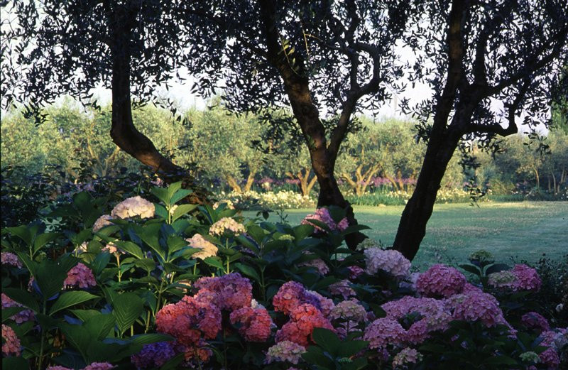 Giardini della Landriana景点图片