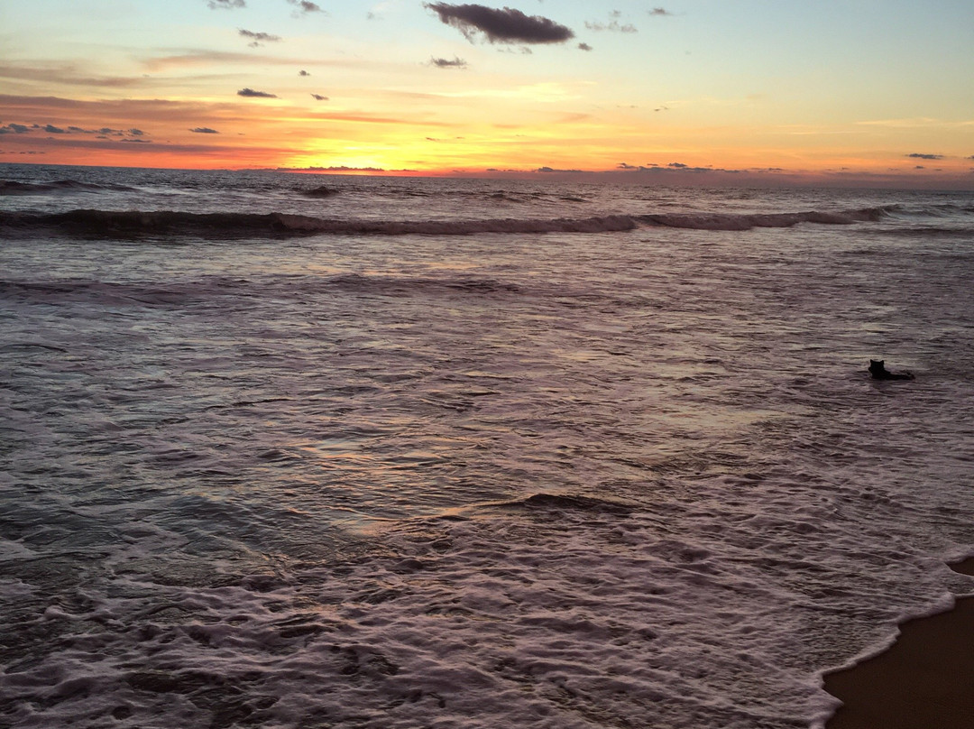 Panadura Beach-Panadura必去景点