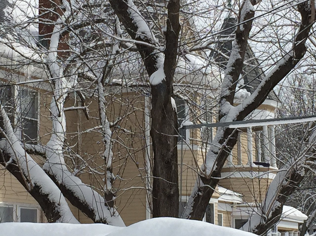 The Munroe Inn B&B主图