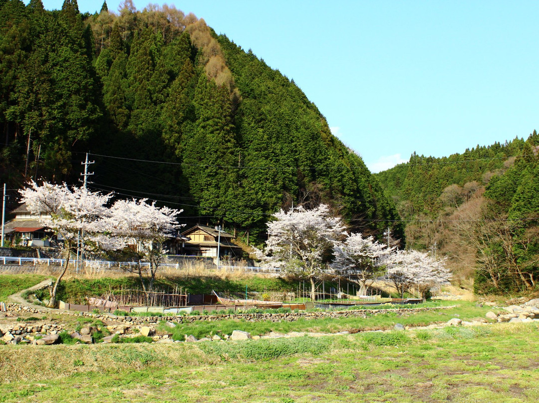 Goroku Onsen主图