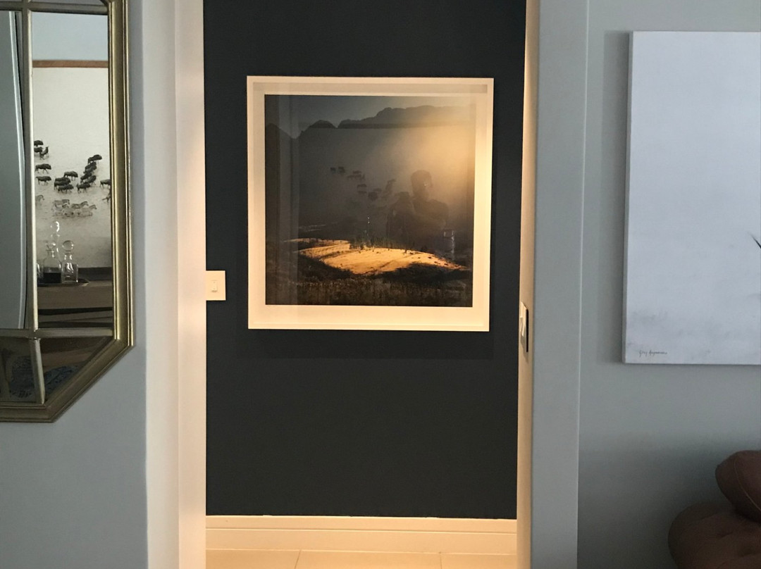 Osner Art Gallery-Green Point必去景点