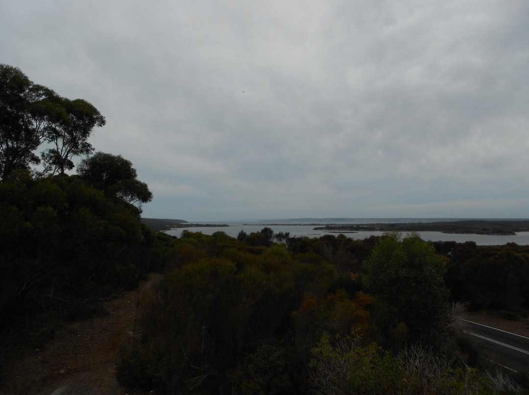 Cruising Kangaroo Island Kayak Tours-American River必去景点