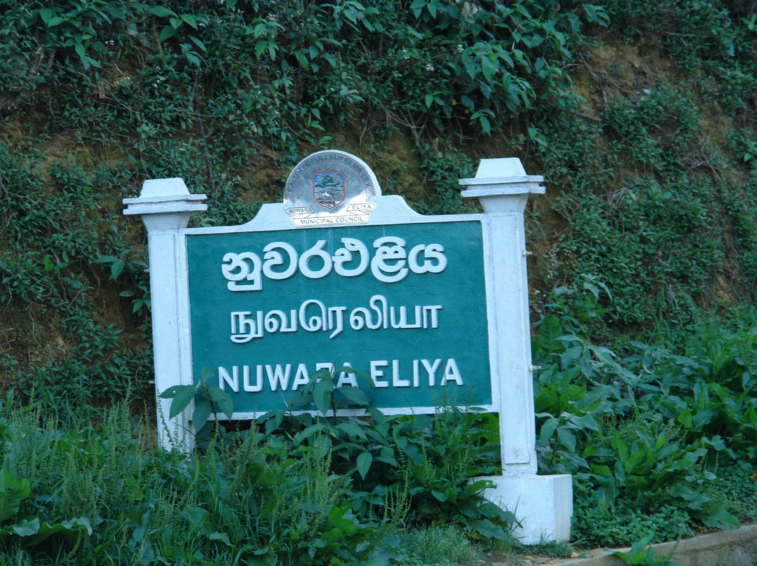 Forest View Lodge主图