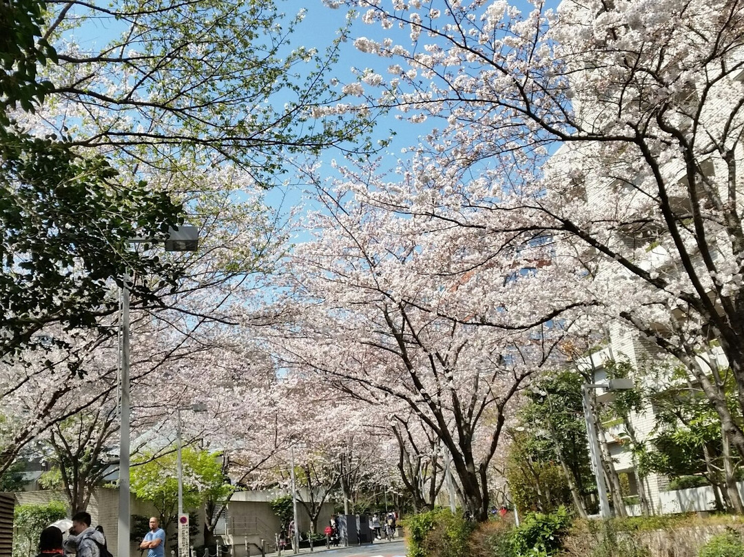 Roppongi Sakurazaka景点图片