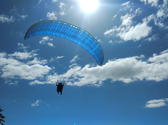 MadeiraWings-沙尔必去景点