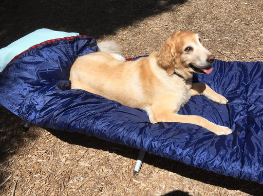 Indigenous Roots-Weston必去景点