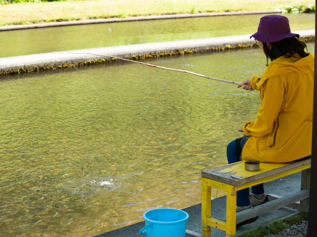 Taisetsu Fishing Pond景点图片