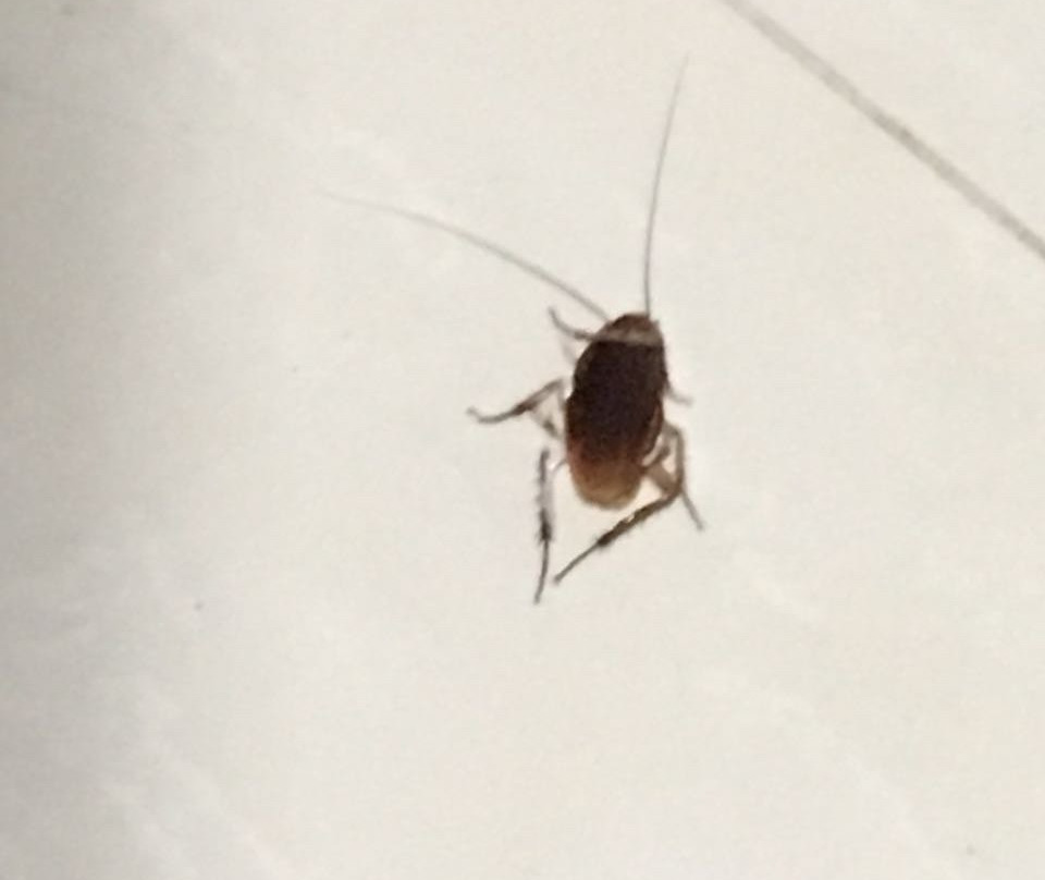 Pousada Castellammare主图