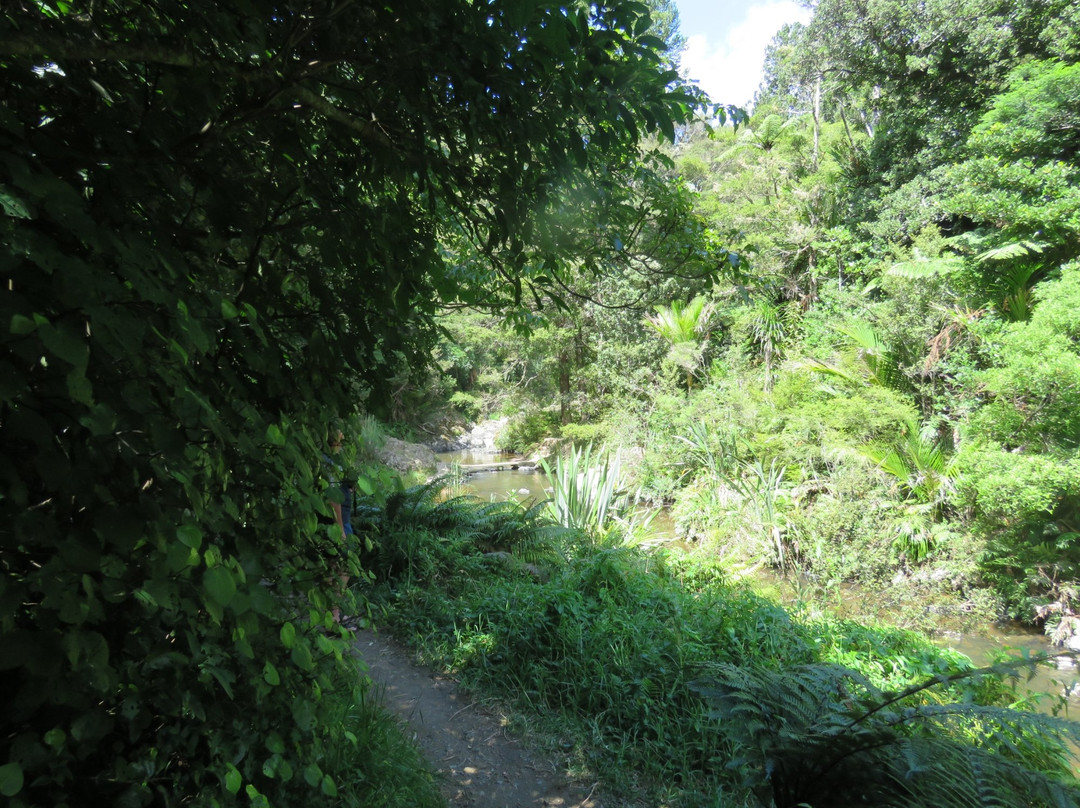 Piroa Falls Track景点图片
