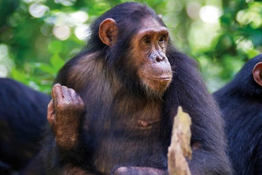 非洲冒险度假-坎帕拉必去景点