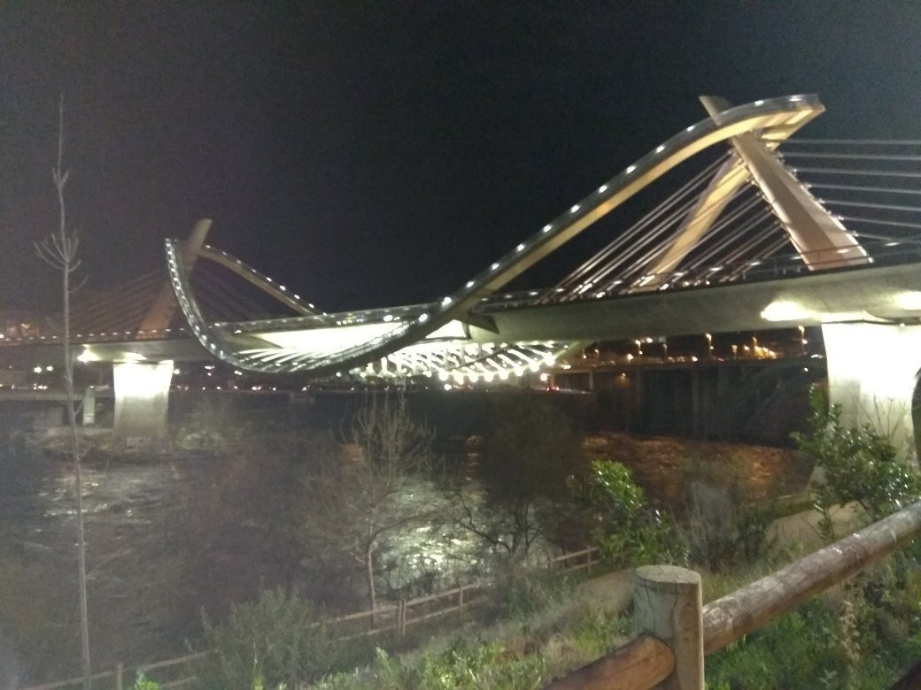 Puente del Milenio景点图片