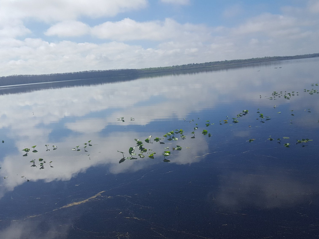 Lake Ashby Park-新士麦那海滩必去景点