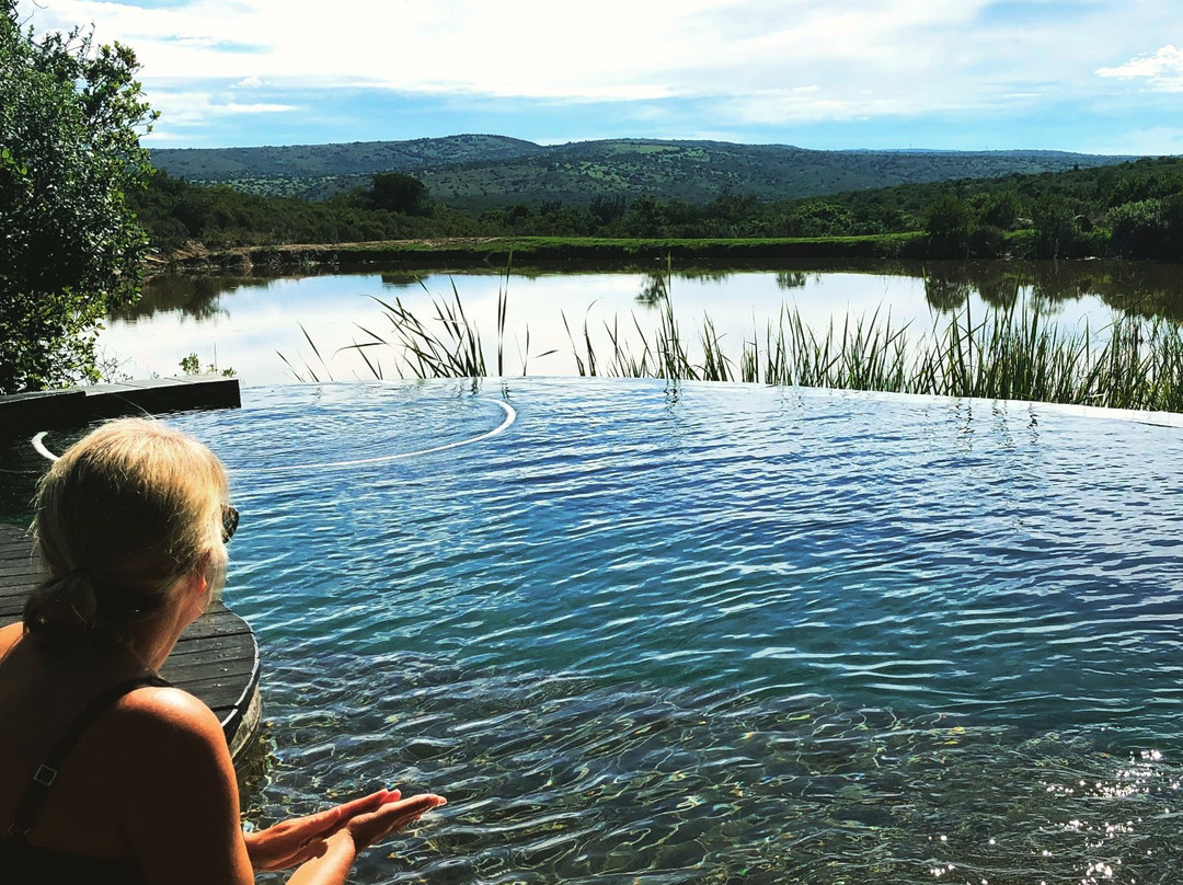 Lalibela Wildlife Reserve Kichaka Lodge主图
