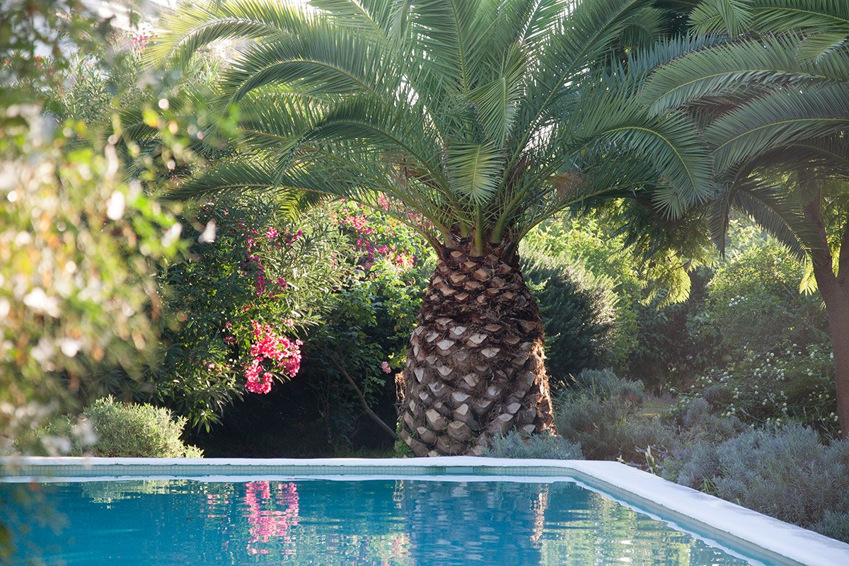 El Jardin Secreto-官方