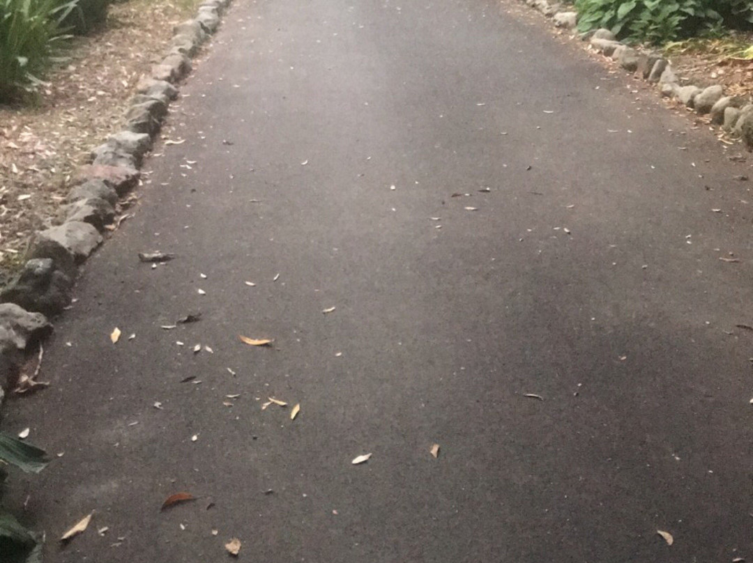 Manawatu River Pathway景点图片