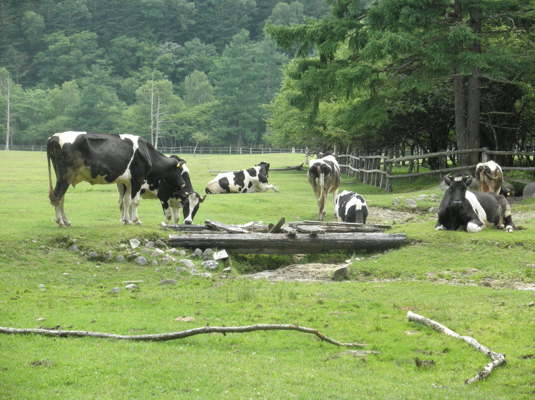 Kotoku Farm景点图片