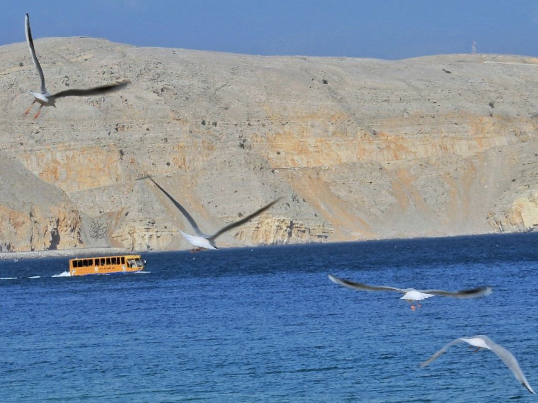 Khasab Water Bus-海塞卜必去景点
