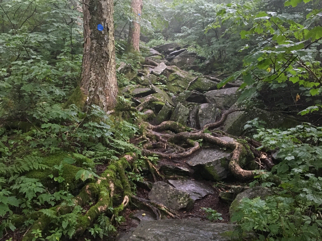 Indian Head Mountain-Elka Park必去景点