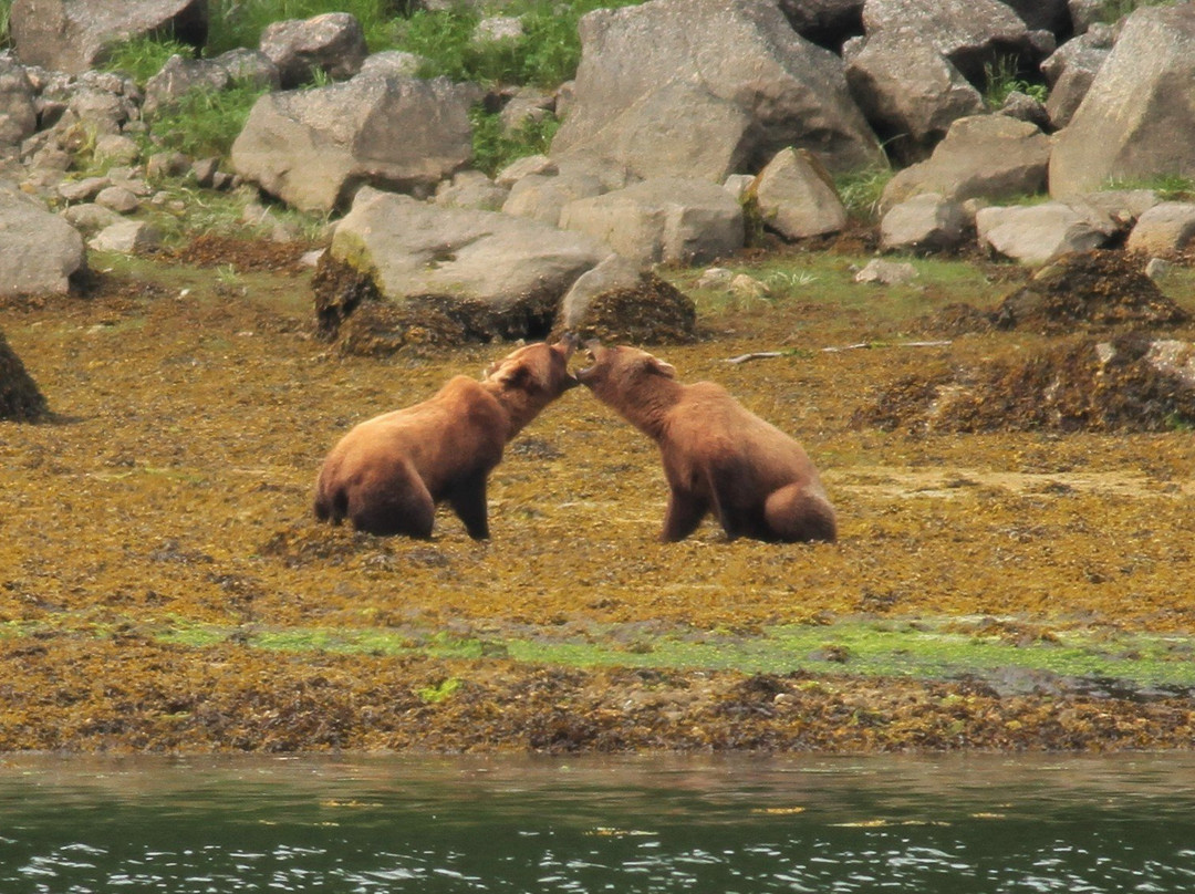 Sail Alaska Bob-锡特卡必去景点