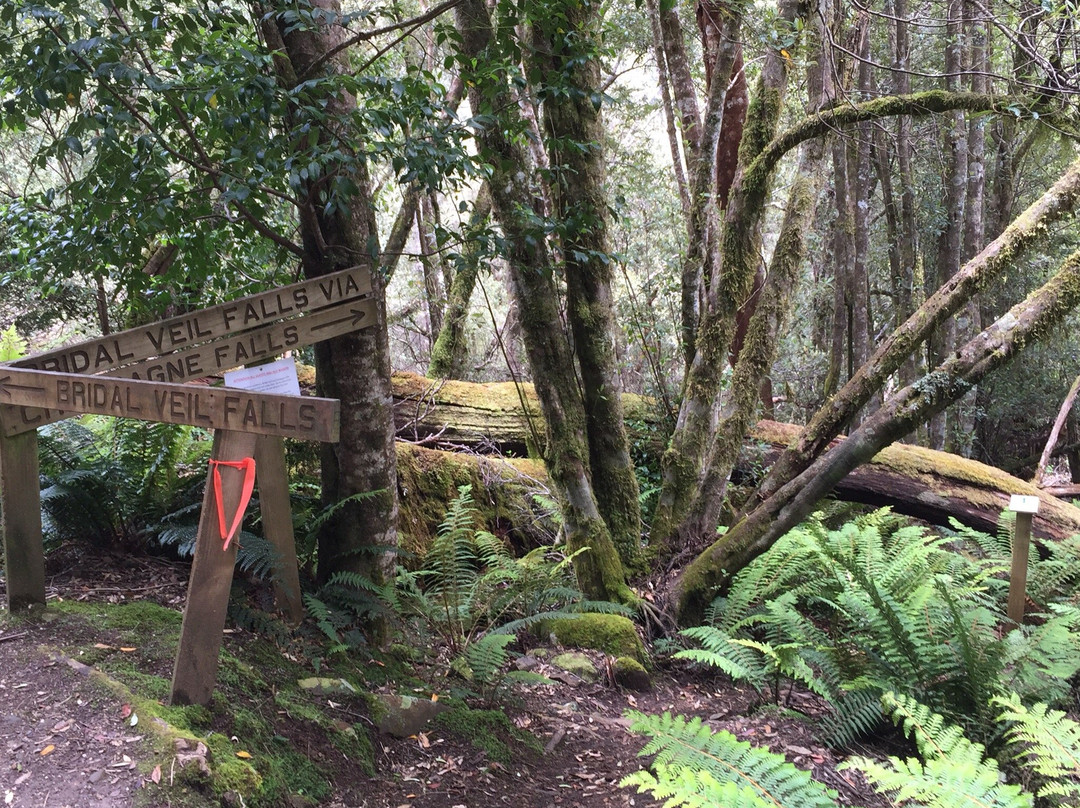 Bridal Veil Falls-Moina必去景点