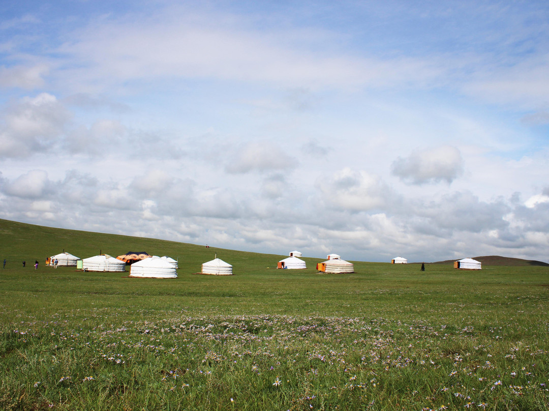 Horse Trails Mongolia Ger Camp