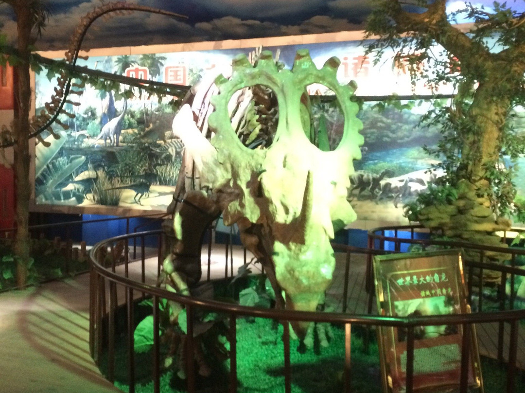 恐龙博物馆-诸城市必去景点
