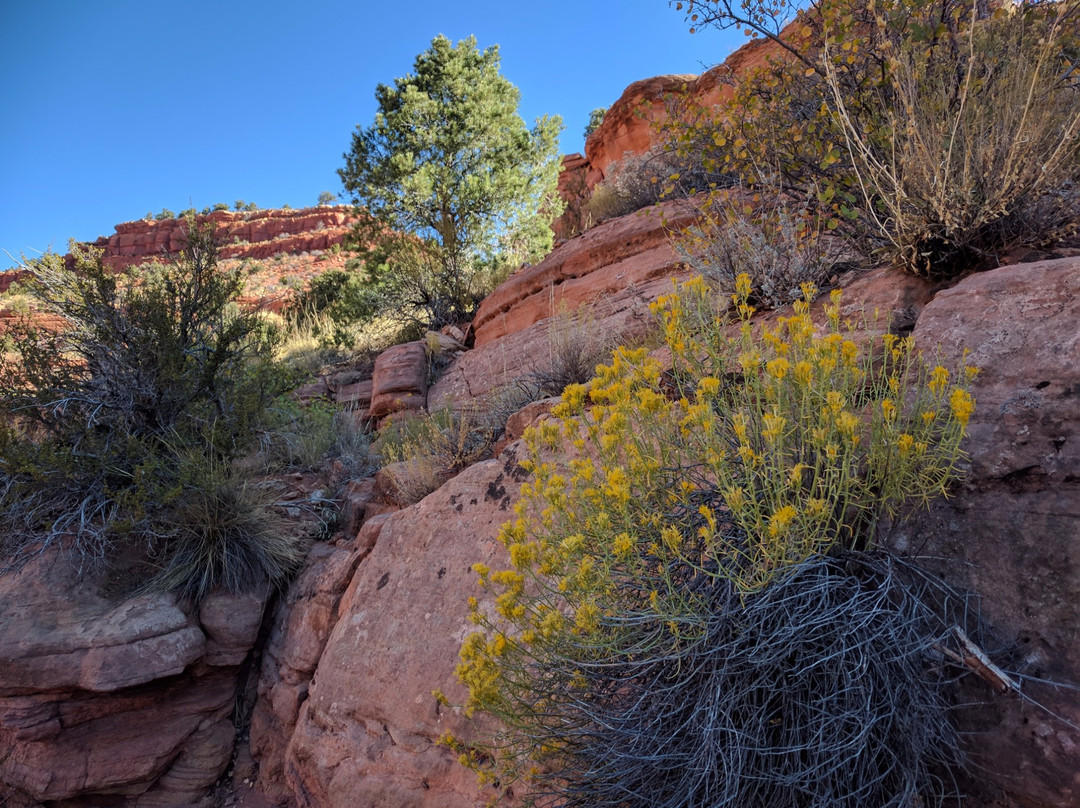 Squaw Trail-卡纳布必去景点