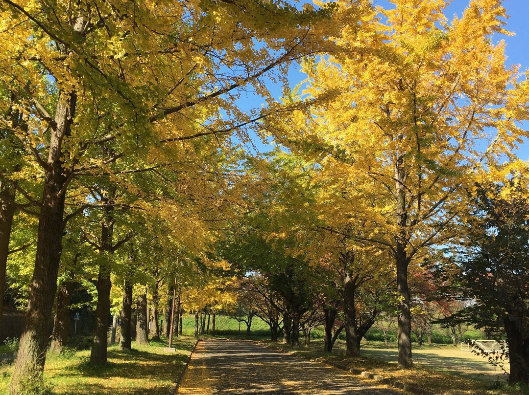 Kawagoe Aquatic Park-川越市必去景点