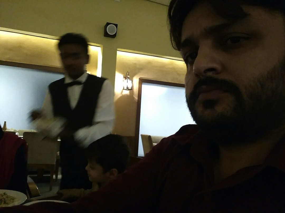 The Celestial Park Hotel主图