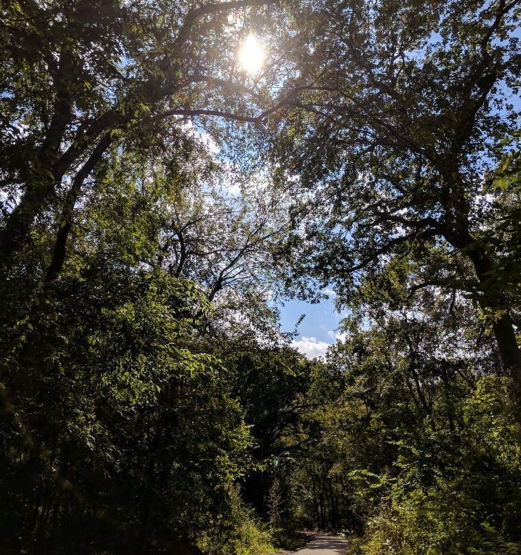 Ray Harral Nature Park-Broken Arrow必去景点