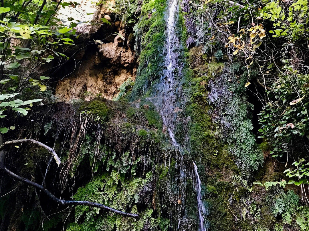 Las Casicas del Tio Angel