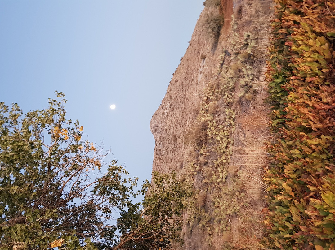 Panaca Hot Springs-Panaca必去景点