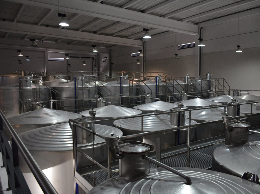 Casa Ermelinda Freitas-Palmela必去景点