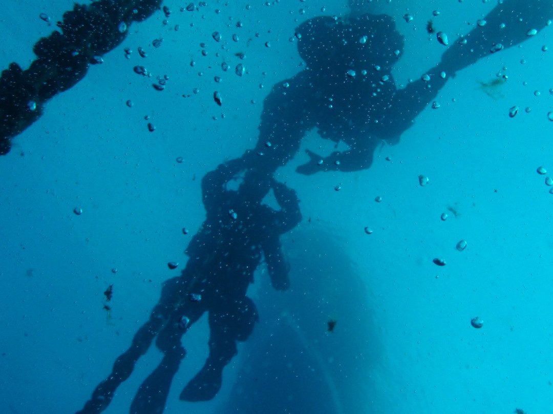 Diving Yoghi景点图片