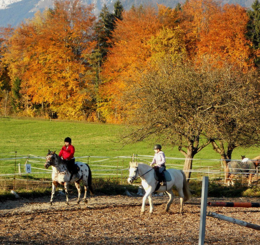 Equestrian Club PR KRAL