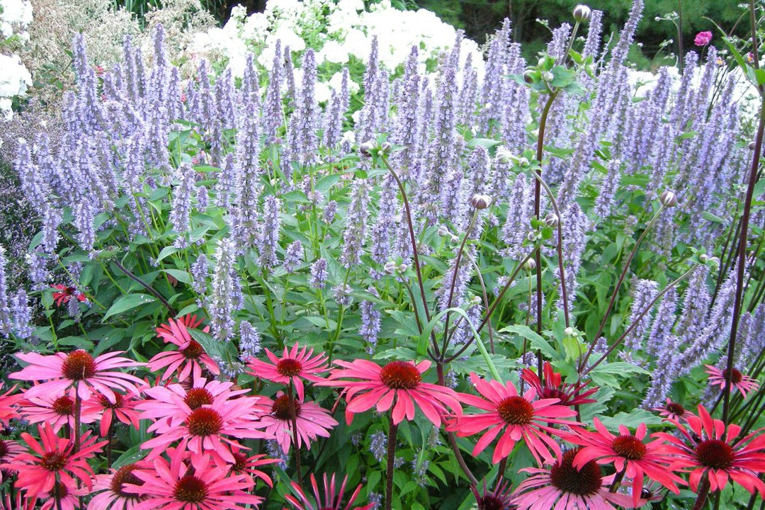 Plant Paradise Country Gardens-卡利登必去景点