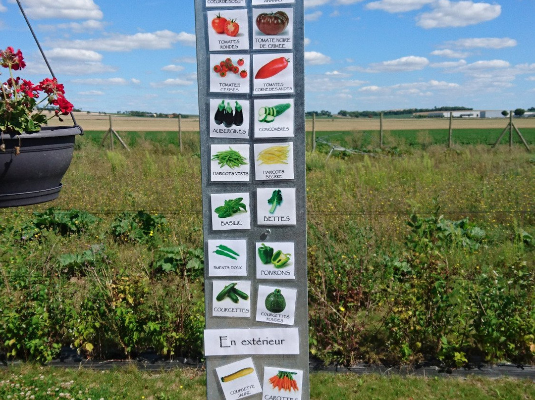 La Cueillette de la Pompelle