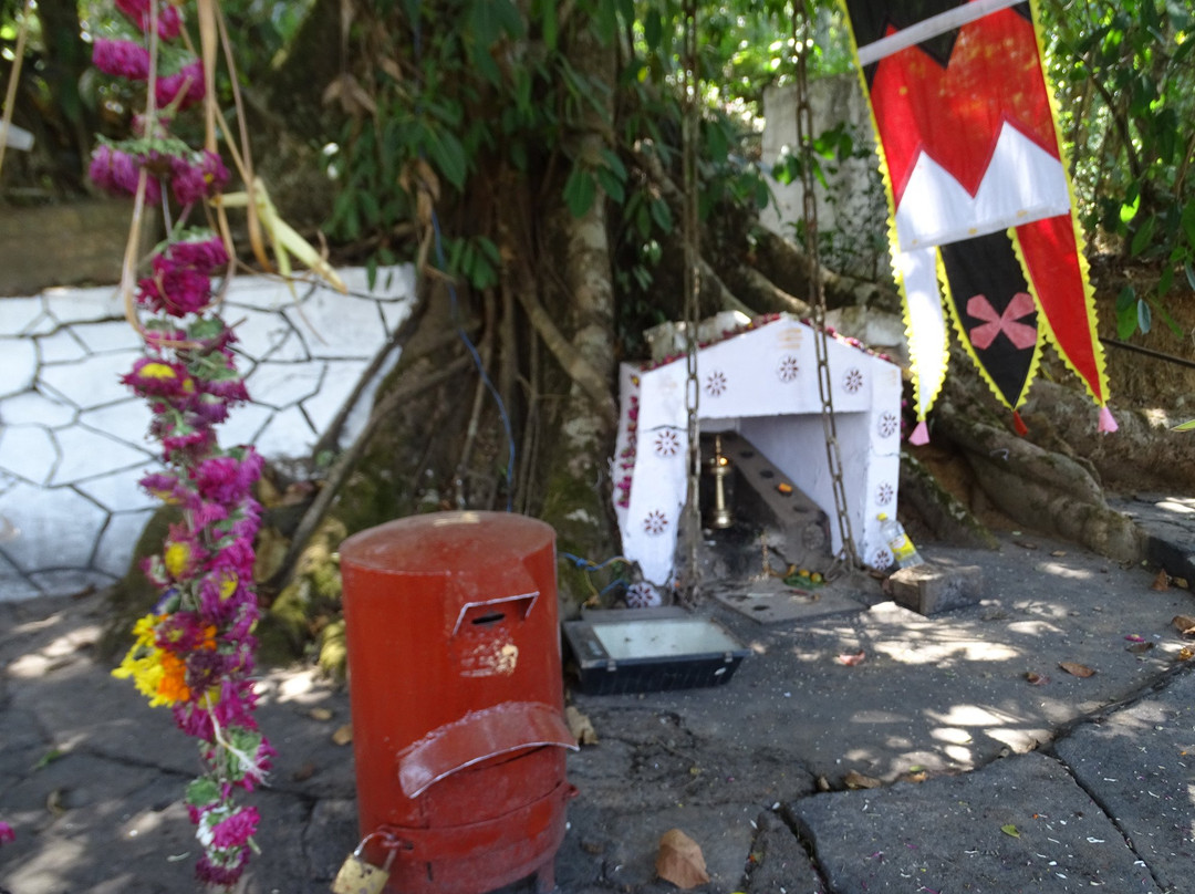 Chain Tree of Karinthandan-Vythiri必去景点