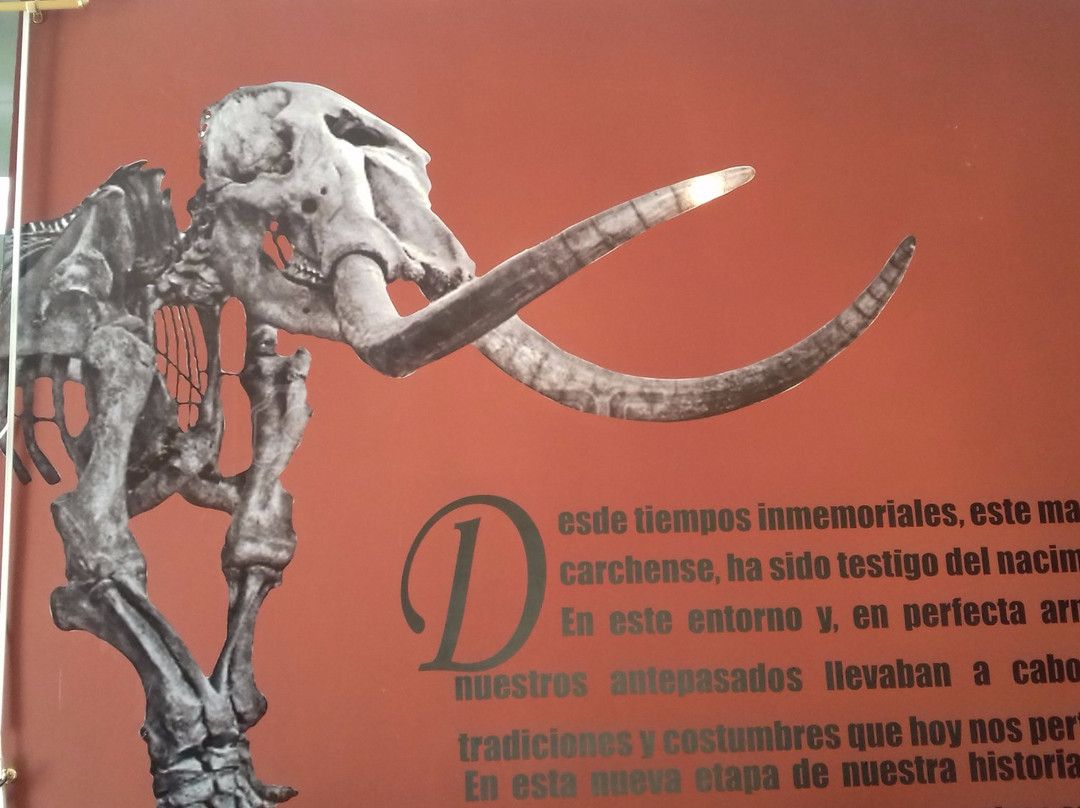 Bolivar旅游景点-Museo Paleontologico de Bolivar - Carchi