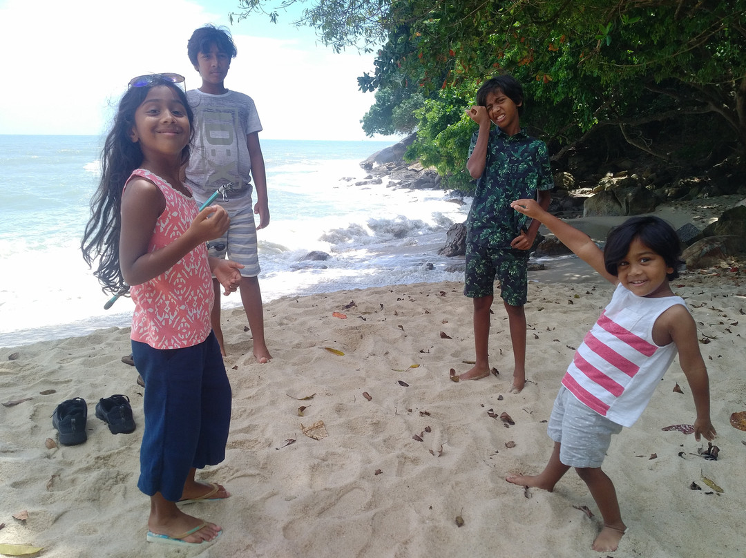 Pantai Pasir Panjang景点图片