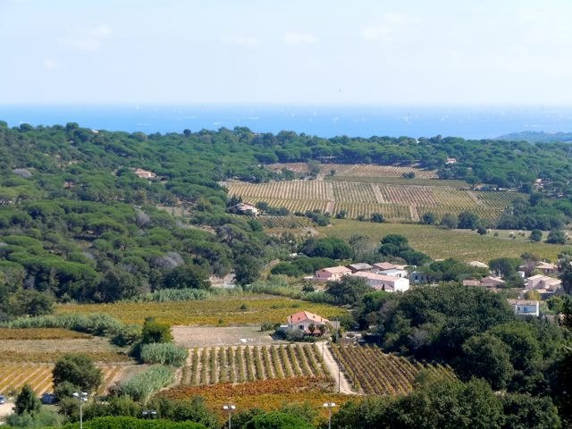 Wine Tours Provence & Riviera-Cogolin必去景点
