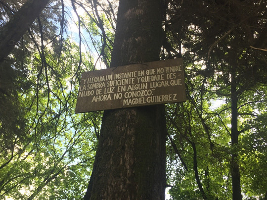 Parque Isabel Riquelme-Lautaro必去景点