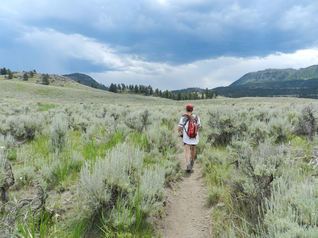Hellroaring Creek Trailhead景点图片