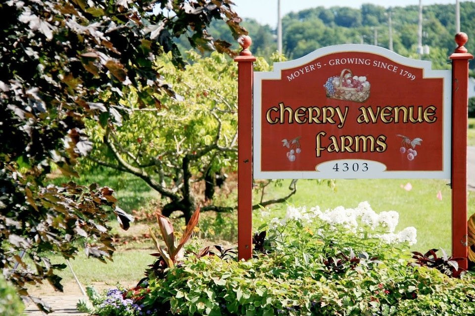Cherry Avenue Farms景点图片