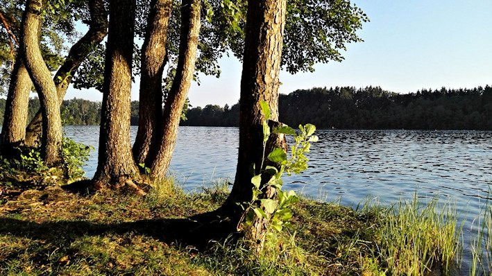 Moosach旅游攻略图片