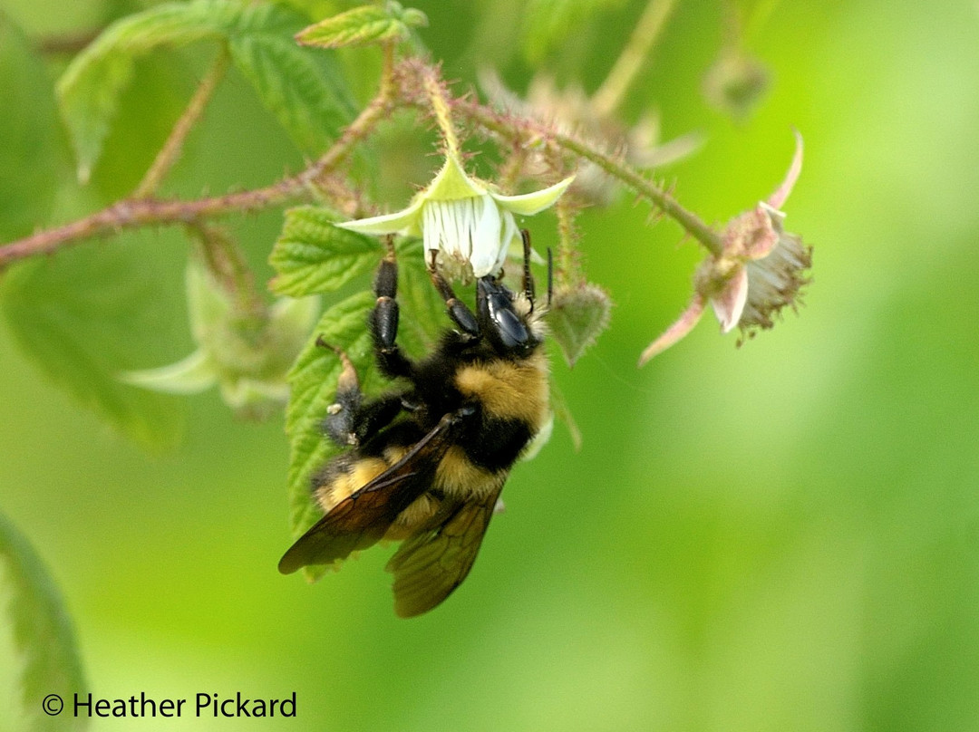 Cooper Marsh Conservation Area-Lancaster必去景点