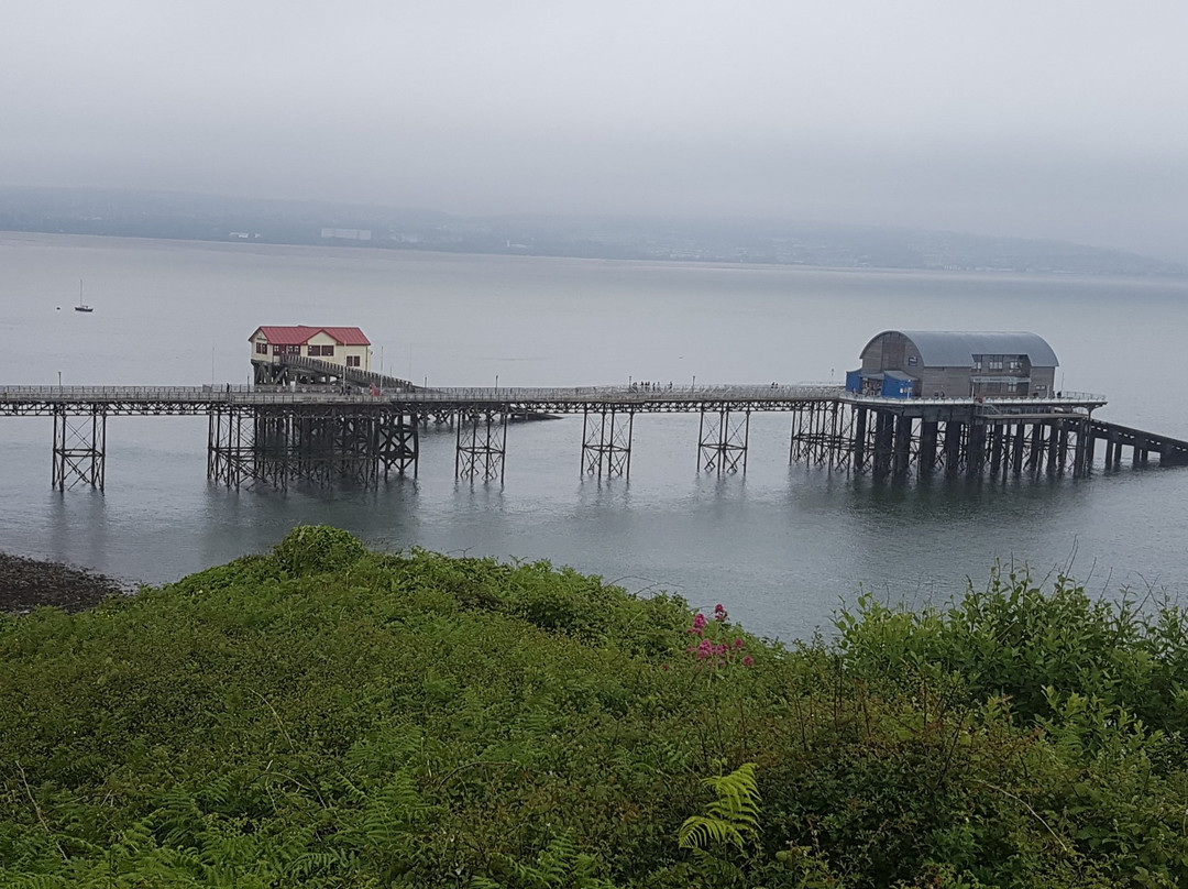 Swansea County旅游攻略图片